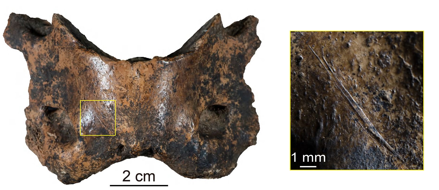 Денисовцы прожили на Тибетском плато не менее 160 000 лет