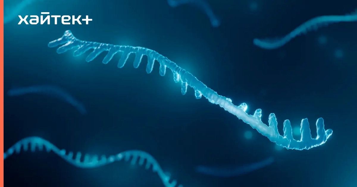 Найдено подтверждение гипотезы "РНК-мира"