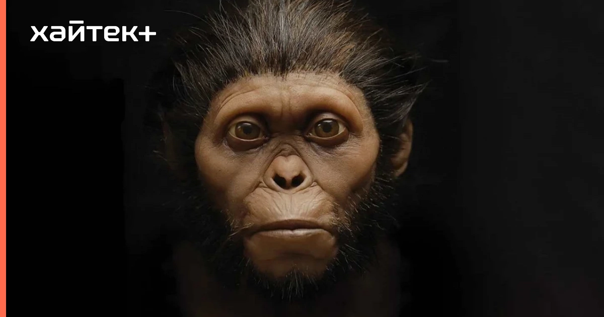 Ученые восстановили лицо предка человека возрастом 3,67 млн лет