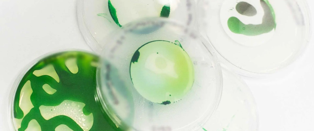 Микробы компании Cemvita могут вырабатывать водород по цене $1 за килограмм