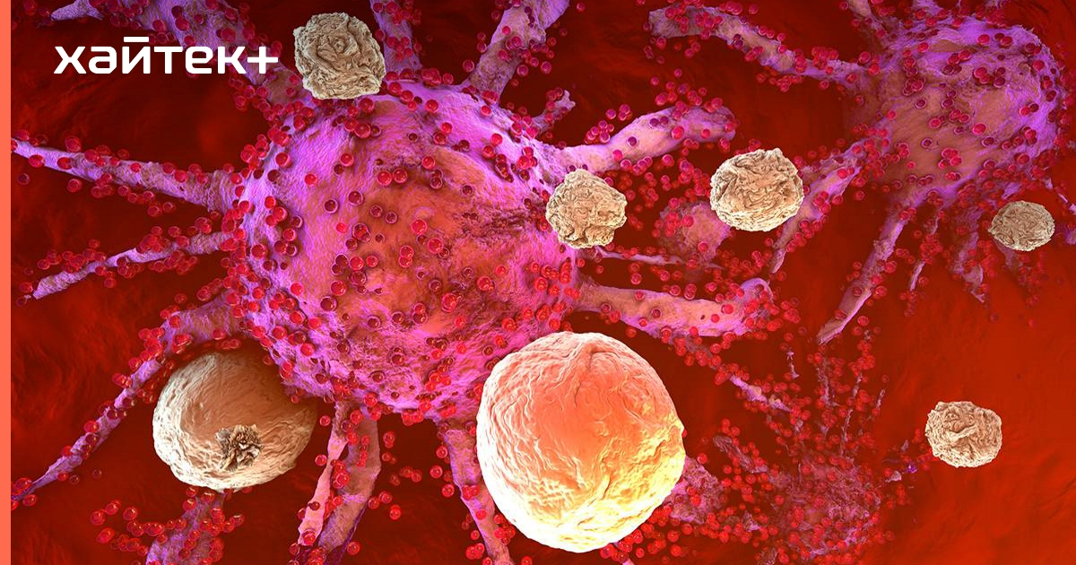 Найден естественный блокатор аутоиммунной реакции