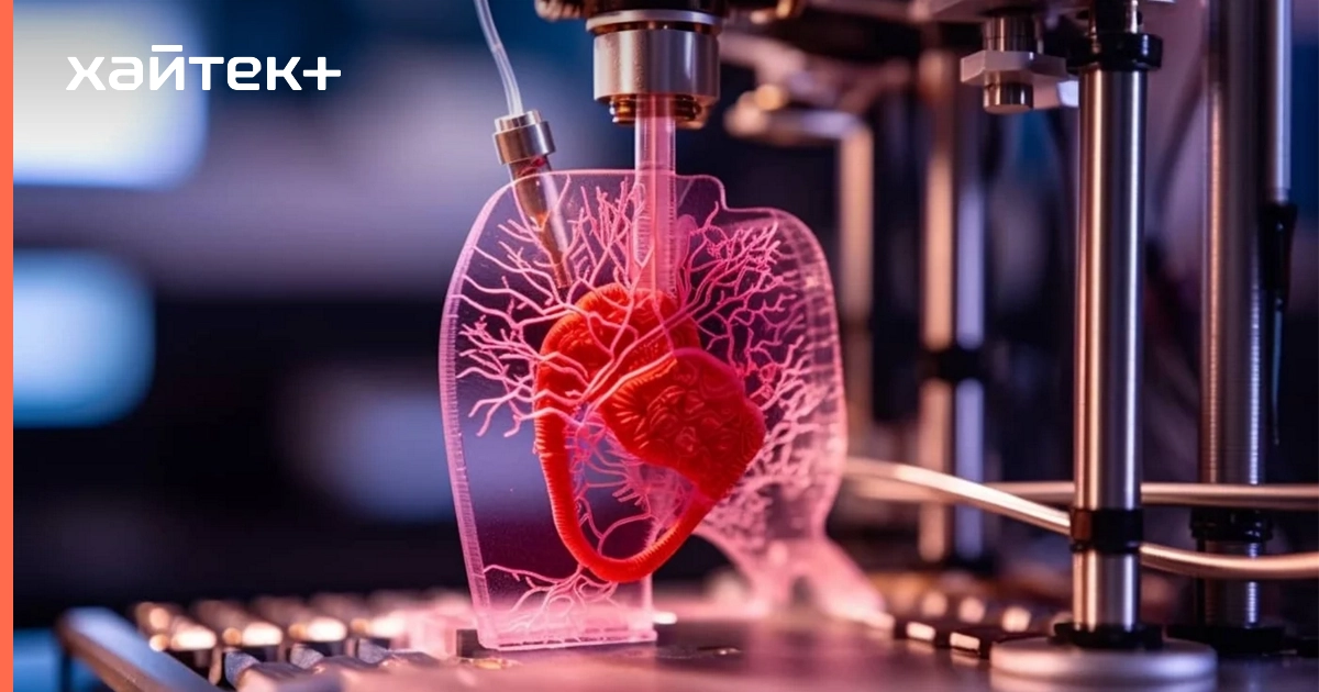 4D-биофабрикация может стать прорывом в тканевой инженерии и заживлении ран