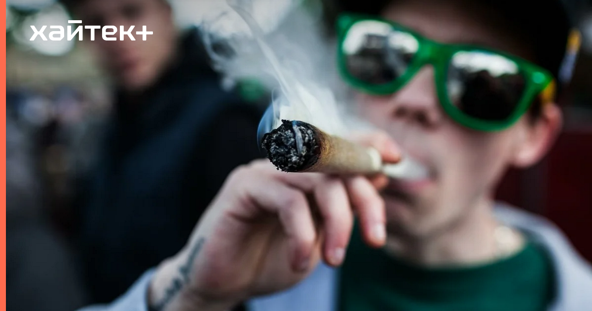 Где свободно курят марихуану почему не грузит тор браузер на телефоне