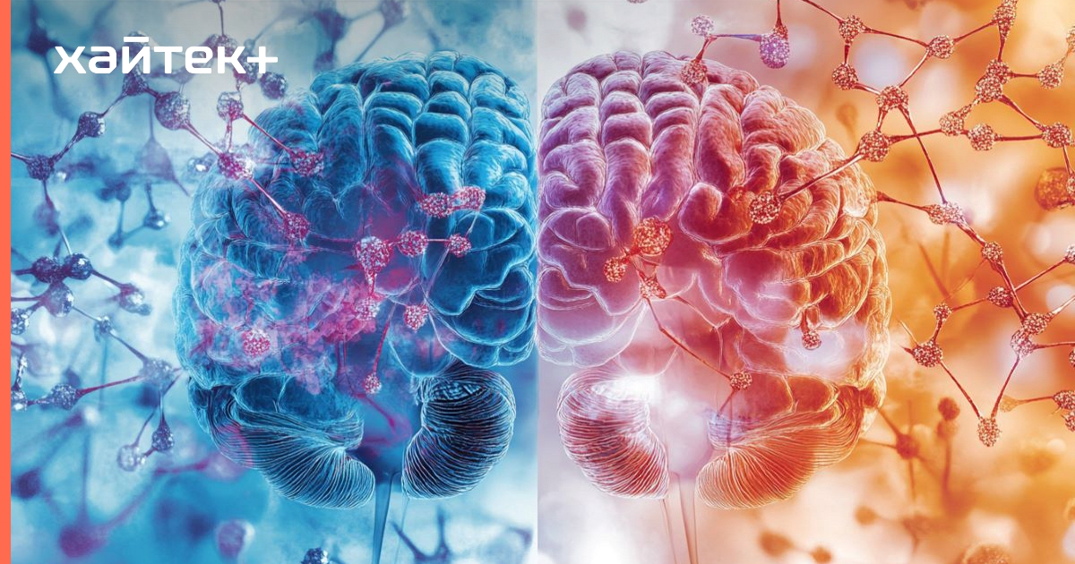 Модифицированные иммунные клетки уничтожают метастазы в мозге