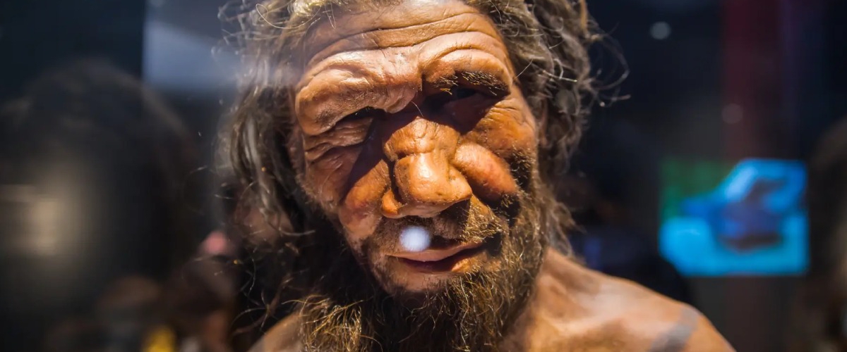 Ученые сконструировали обонятельные рецепторы неандертальцев и денисовцев