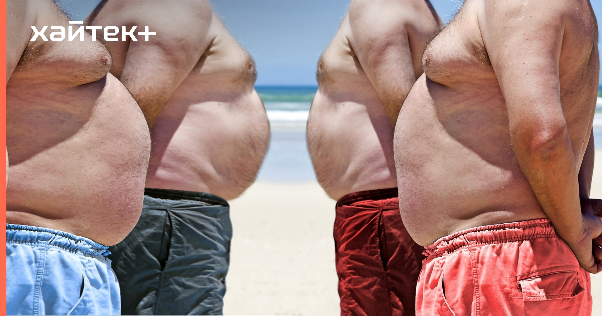 Висцеральное ожирение нарушает работу мозга