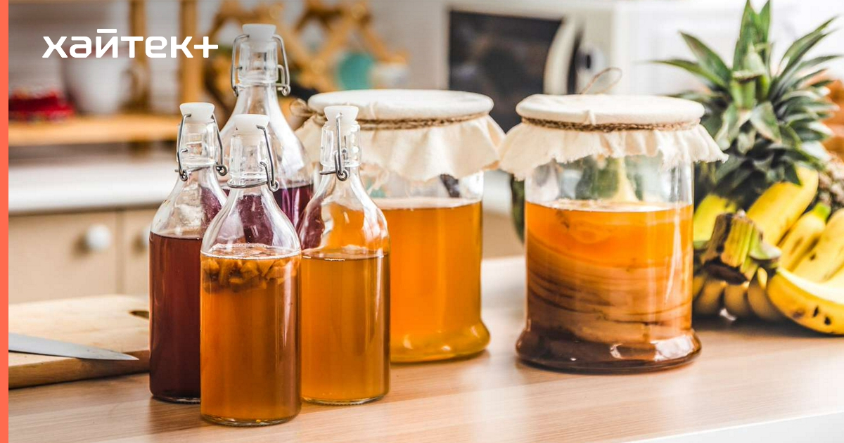 Чайный гриб помогает сжигать жир без голодания