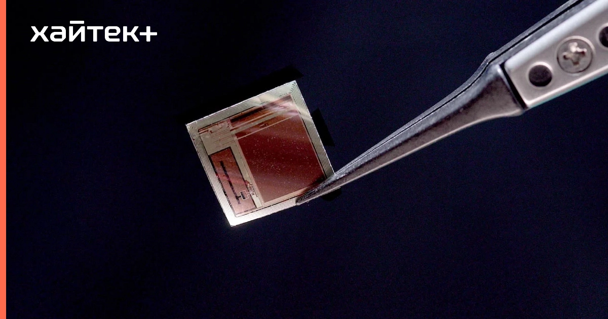Тончайший мозговой имплант на 65 000 электродов передает данные со скоростью 100 Мбит/с