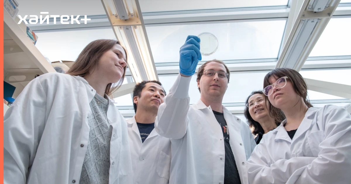 Новая версия CRISPR режет ДНК только раковых клеток