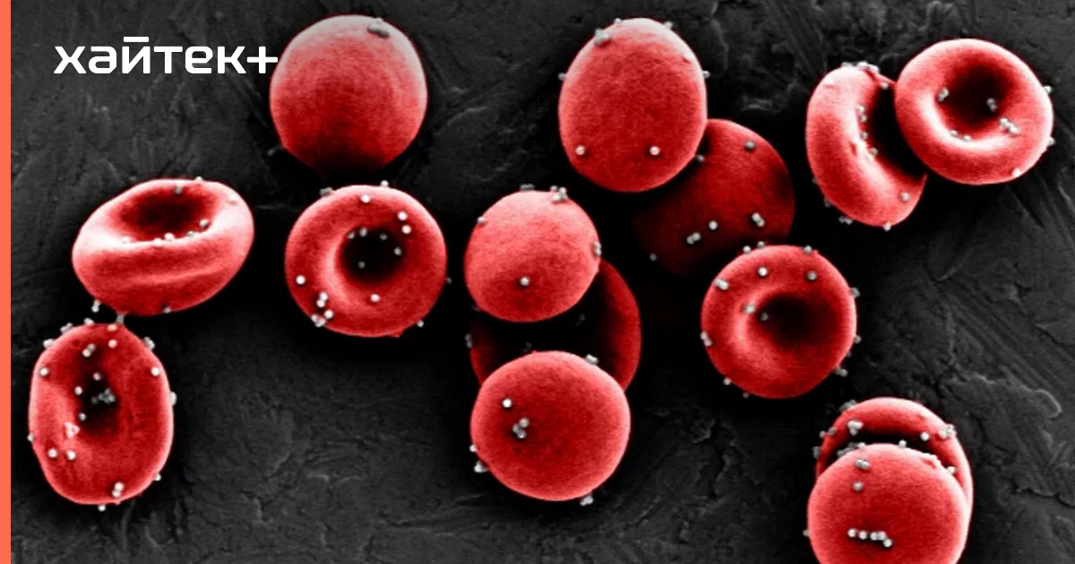 Новый метод иммунотерапии эффективно борется с метастазами в легких