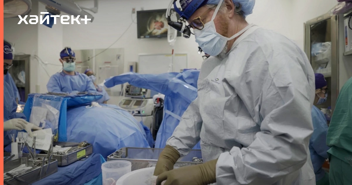 Ученые решили проблему отторжения органов свиней при ксенотрансплантации человеку