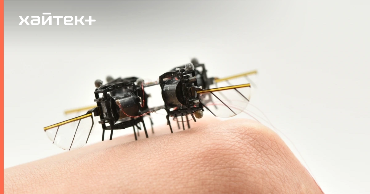 Новый микроробот летает и маневрирует так же быстро, как шмель